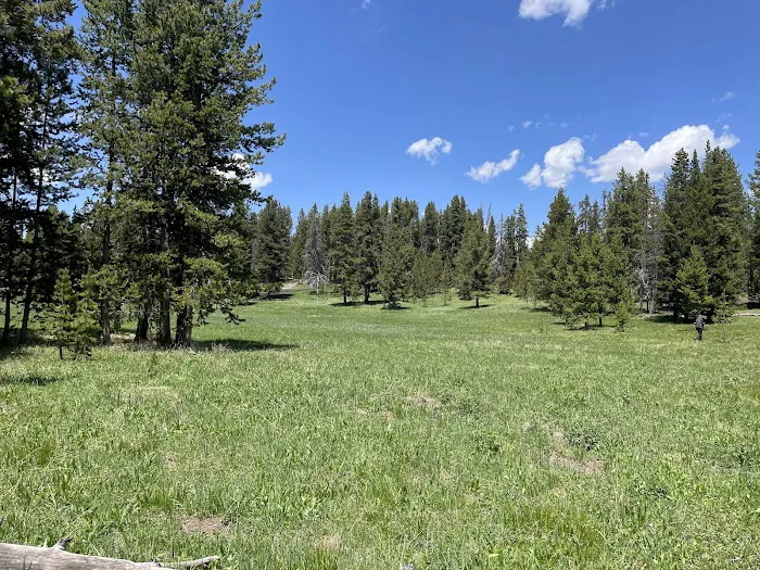 Bridge Bay Campground Picture 10