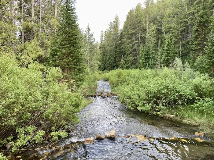 Big Spring Campground Picture 3