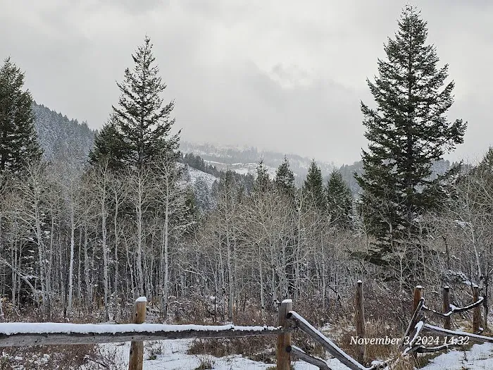 Big Spring Campground Picture 2