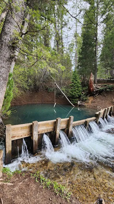 Big Spring Campground Picture 5