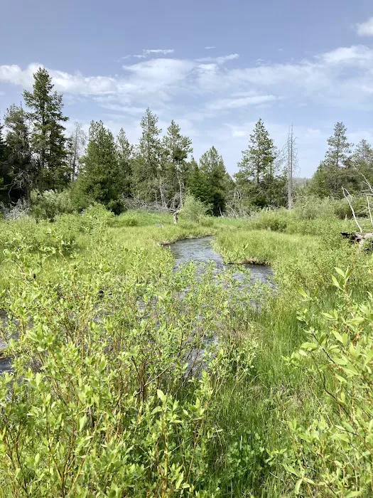 Big Spring Campground Picture 8