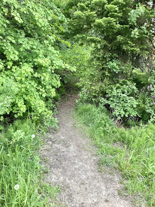 Big Spring Campground Picture 10