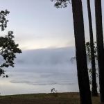 Holliday Park/ Blackwells Campground