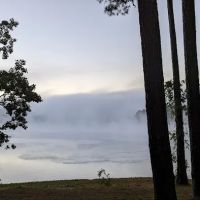 Holliday Park/ Blackwells Campground ico