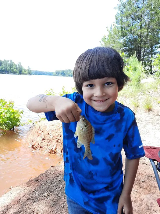 Holliday Park/ Blackwells Campground Picture 6