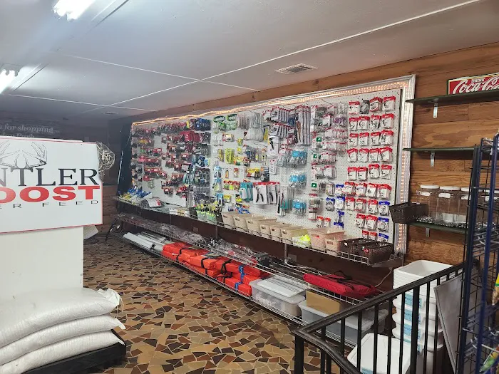 Holliday Park/ Blackwells Campground Picture 5