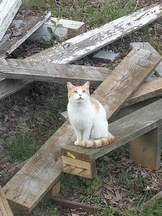 Oak Grove Mountain Village Picture 3