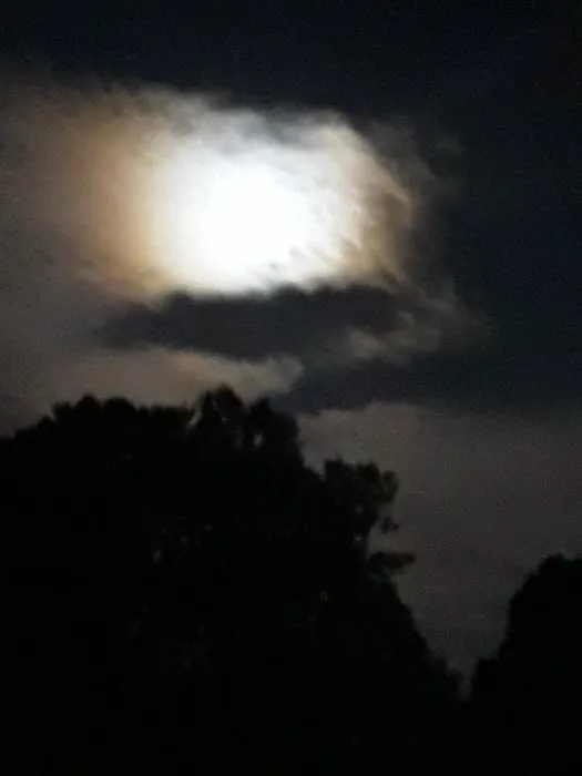 Oak Grove Mountain Village Picture 7