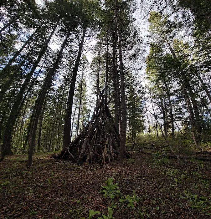 Scout Mountain Campground Picture 4