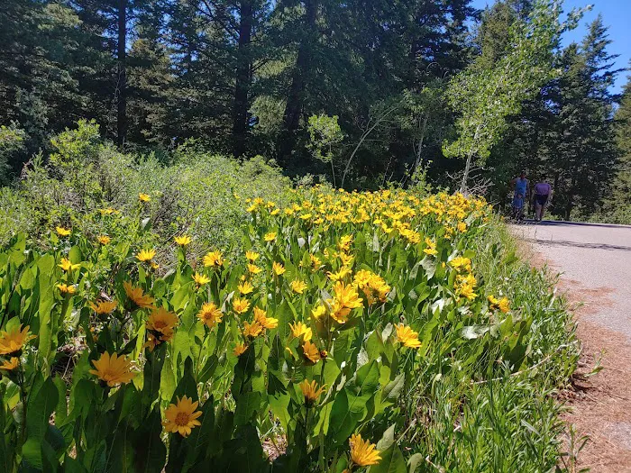 Scout Mountain Campground Picture 7