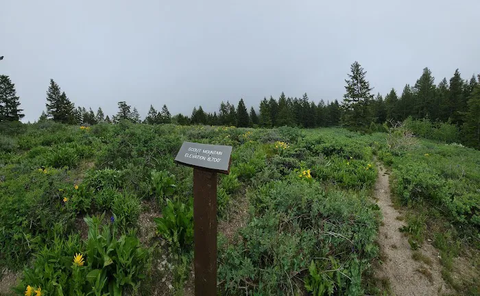 Scout Mountain Campground Picture 6