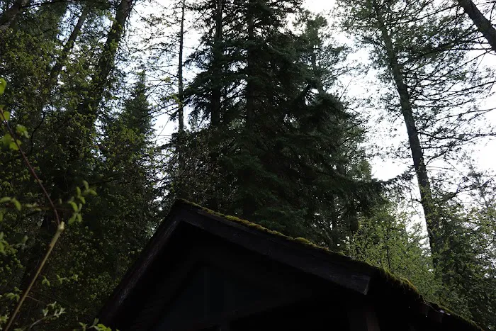 Scout Mountain Campground Picture 10