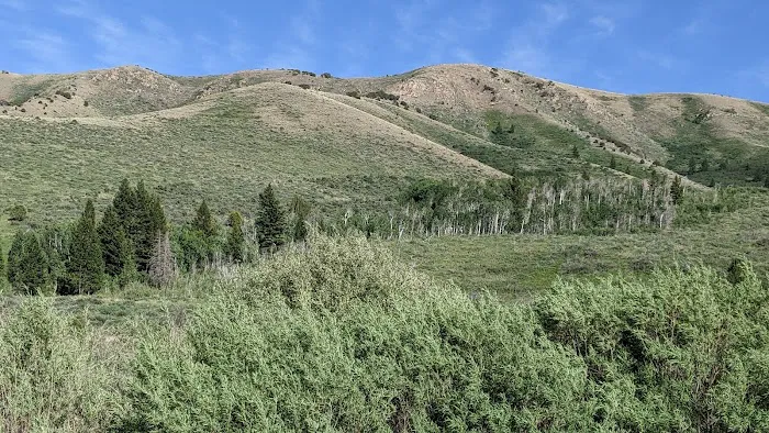 Mink Creek Group Campground Picture 2