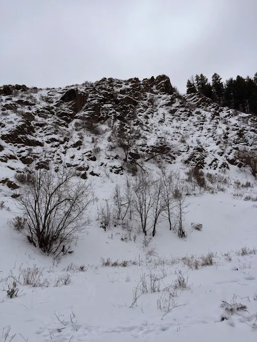 Mink Creek Group Campground Picture 6