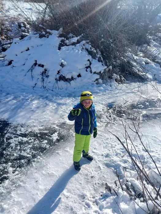 Mink Creek Group Campground Picture 5