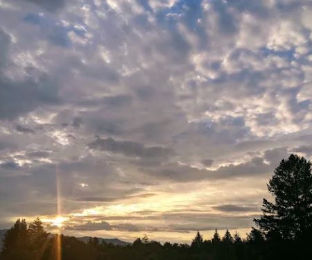 Goodenough Creek Campground