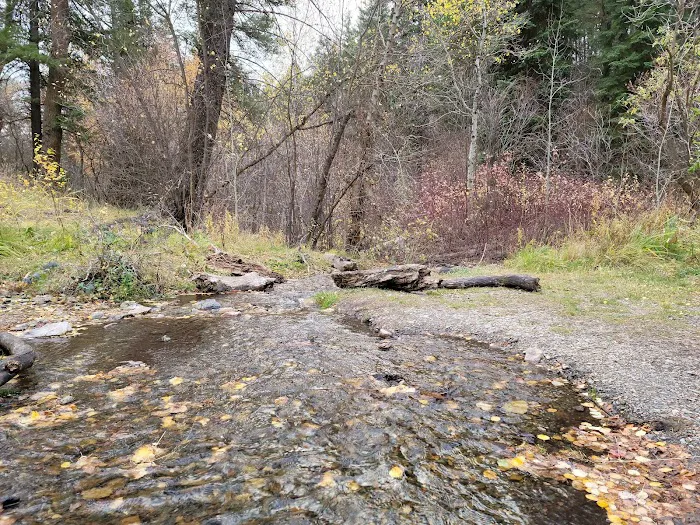 Goodenough Creek Campground Picture 8