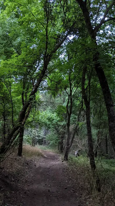 Goodenough Creek Campground Picture 7