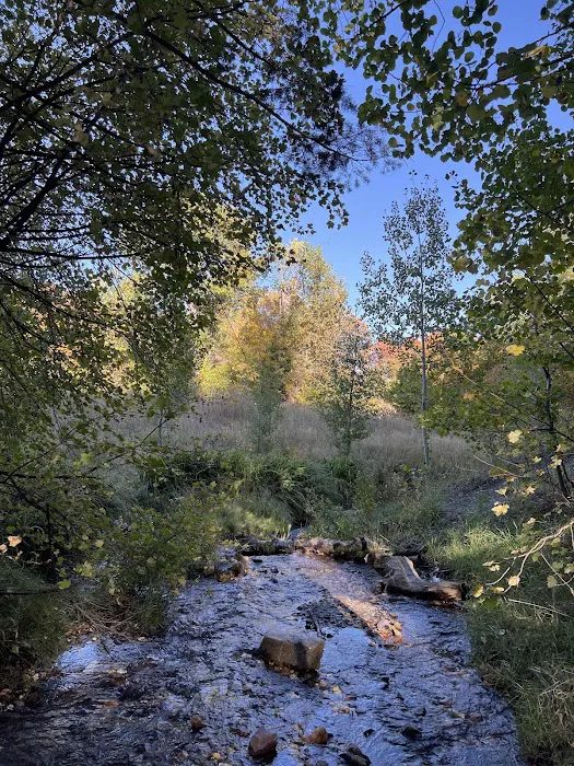 Goodenough Creek Campground Picture 4