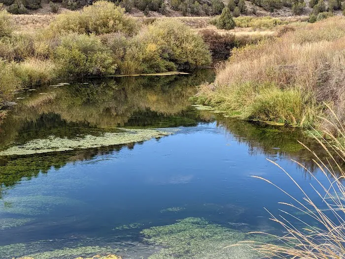 Portneuf River Lower Sportsman Access Picture 2