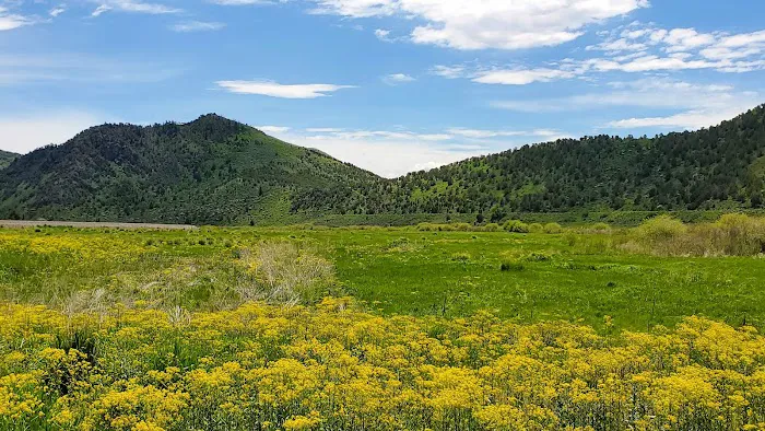 Portneuf River Lower Sportsman Access Picture 5