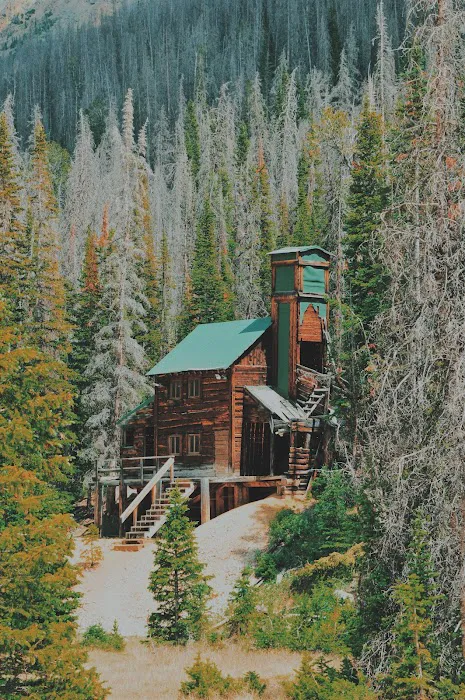 Brown Mountain Campground Picture 3