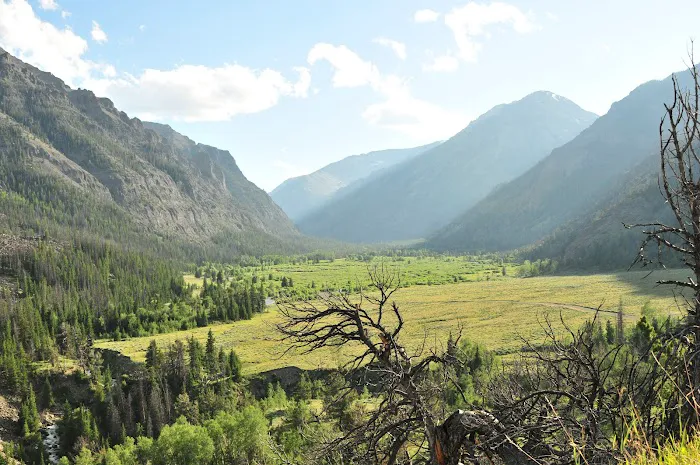 Brown Mountain Campground Picture 7