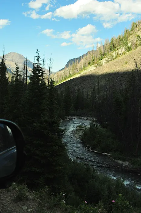 Brown Mountain Campground Picture 10