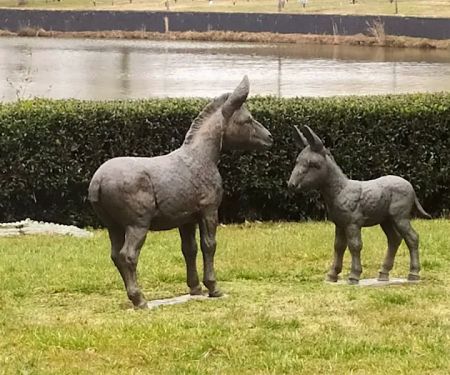 Dixie Mobile Home Park