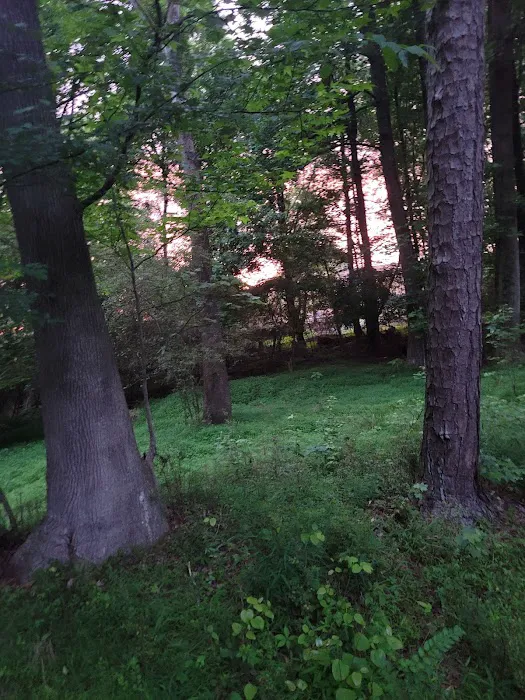 Dixie Mobile Home Park Picture 9