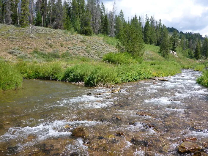 Hobble Creek Campground Picture 2