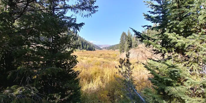 Hobble Creek Campground Picture 1