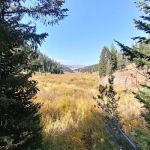 Hobble Creek Campground