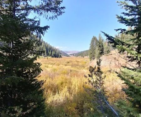 Hobble Creek Campground