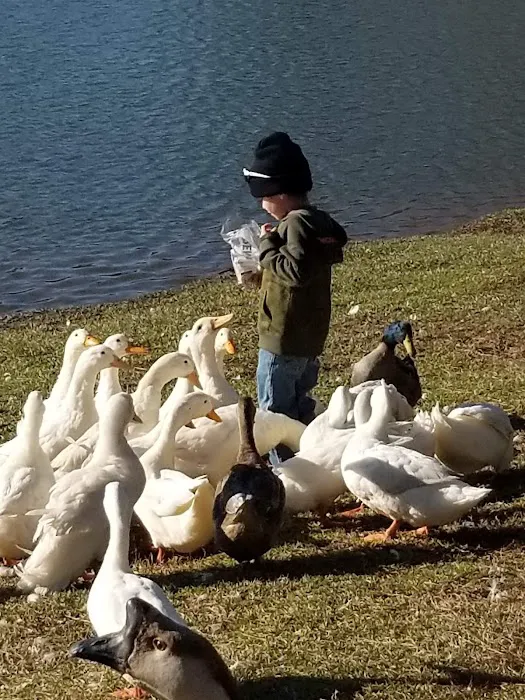 Ansley Park Of Commerce Picture 1