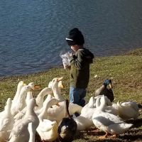 Ansley Park Of Commerce ico