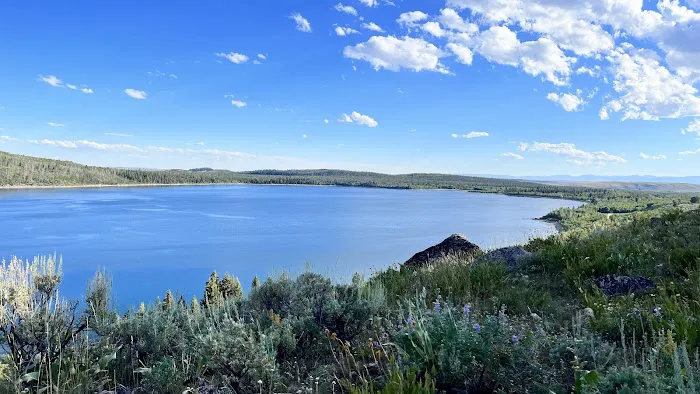 New Fork Lake Campground Picture 5