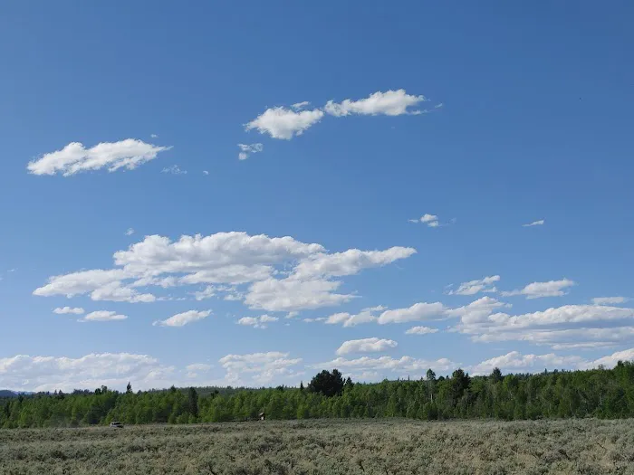 New Fork Lake Campground Picture 6