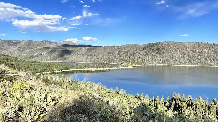 New Fork Lake Campground Picture 9