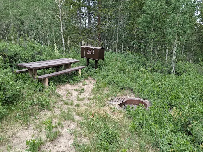 New Fork Lake Campground Picture 7