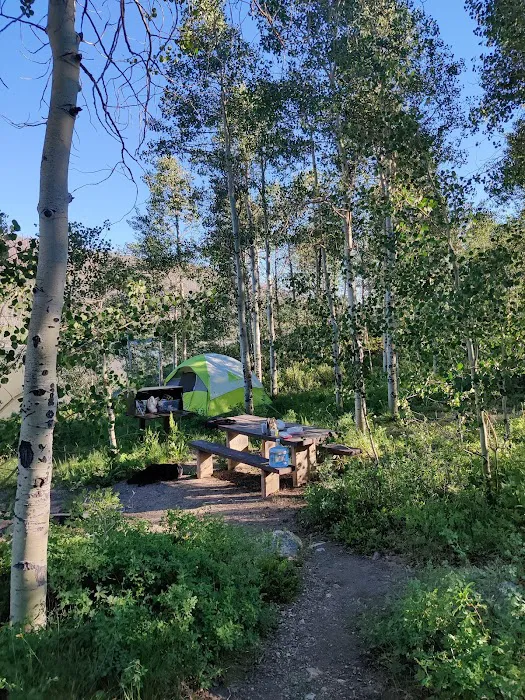 The Narrows Campground Picture 2