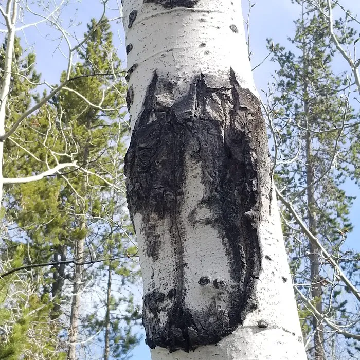 The Narrows Campground Picture 3