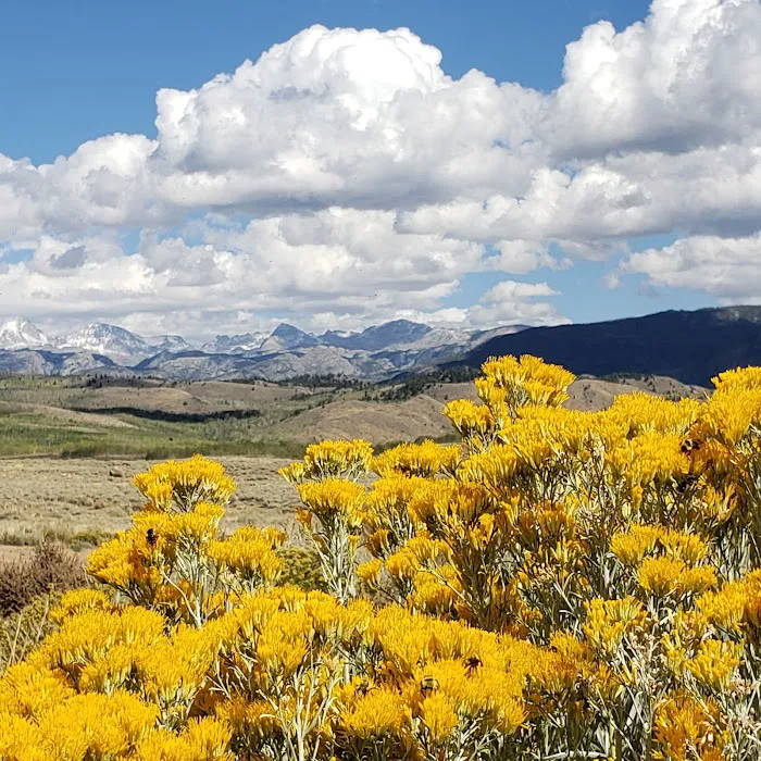 Willow Lake Campground Picture 7