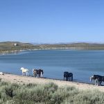 Soda Lake Campground