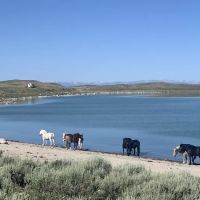 Soda Lake Campground ico