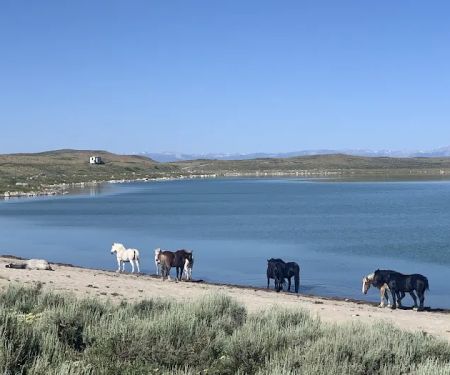 Soda Lake Campground