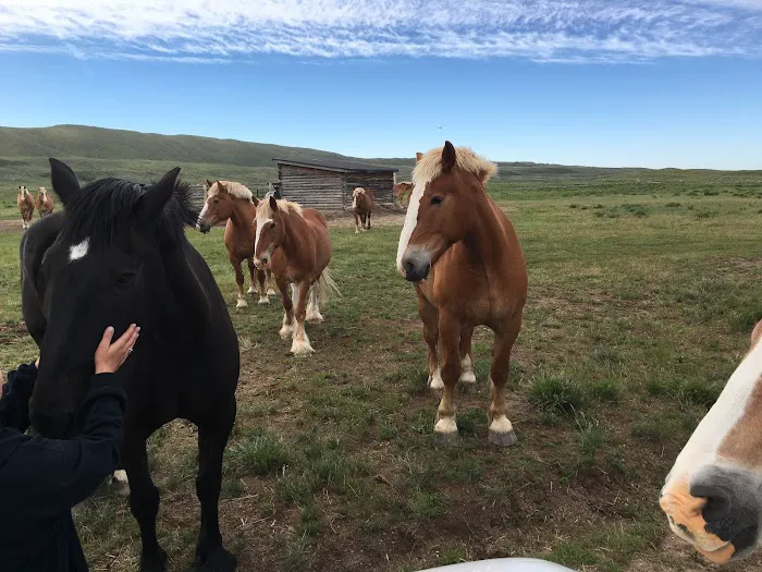 Soda Lake Campground Picture 2