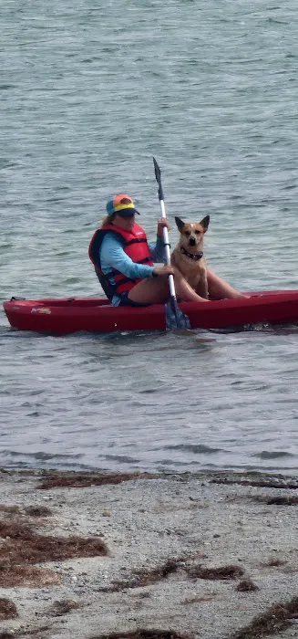 Soda Lake Campground Picture 3