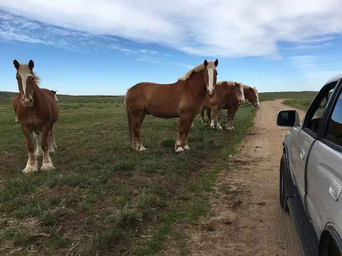 Soda Lake Campground Picture 5