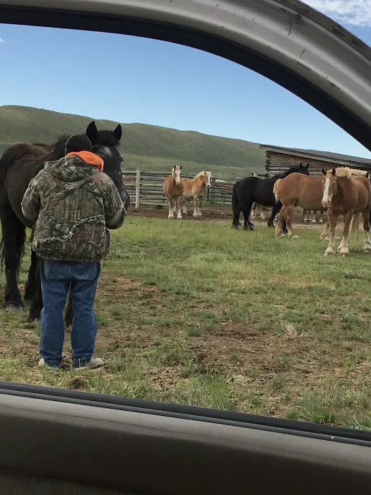 Soda Lake Campground Picture 7